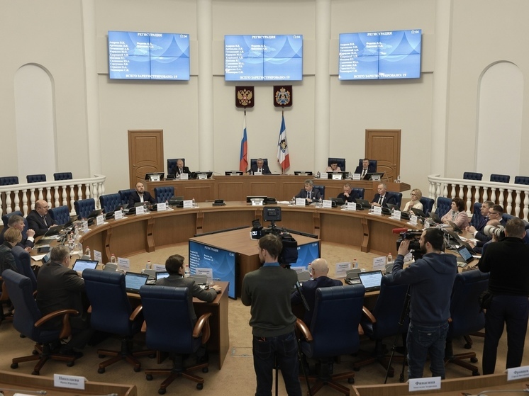 Новгородская областная дума скорректировала бюджет региона на 2024 год