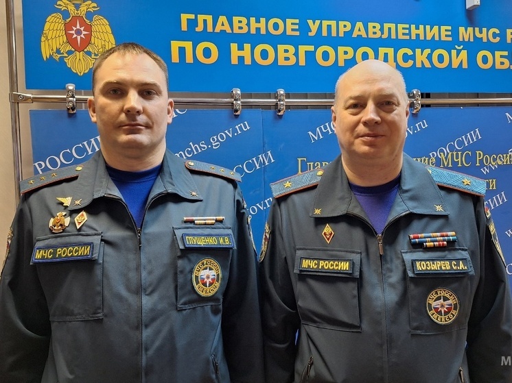 Отличившимся новгородским спасателям вручили награды МЧС