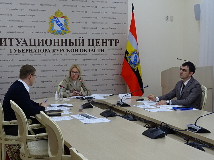 Курская область стремятся к 100-процентному показателю по переводу предоставления услуг в МФЦ