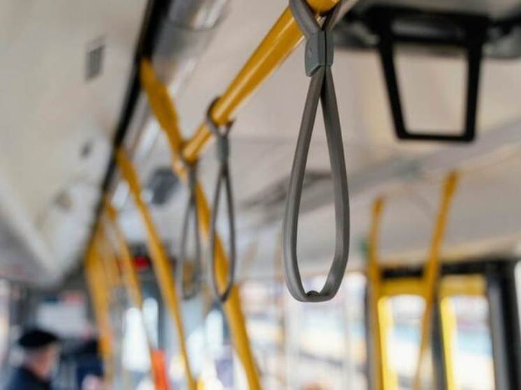 В Воронеже 89-летней пассажирке троллейбуса зажало голову дверьми