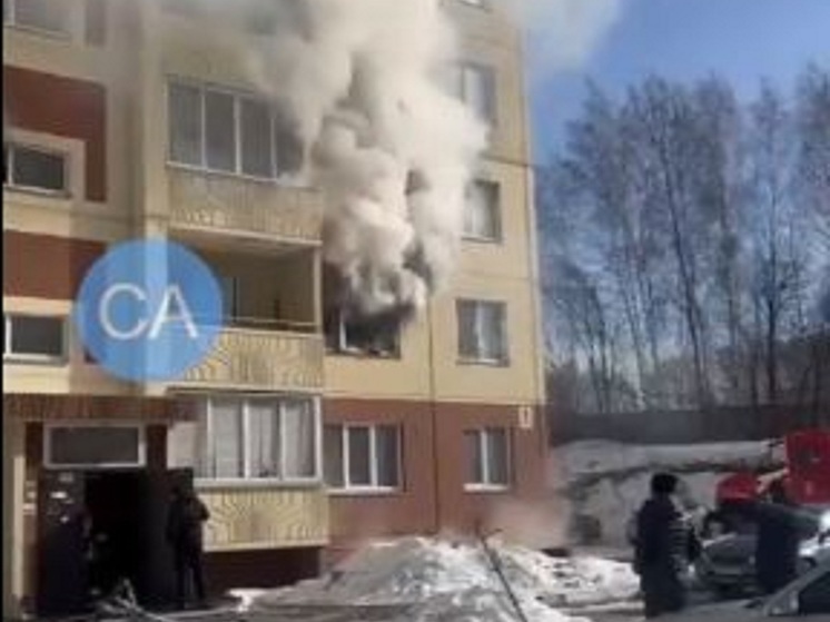 Под Новосибирском пожарные спасли из горящего дома мужчину с астмой
