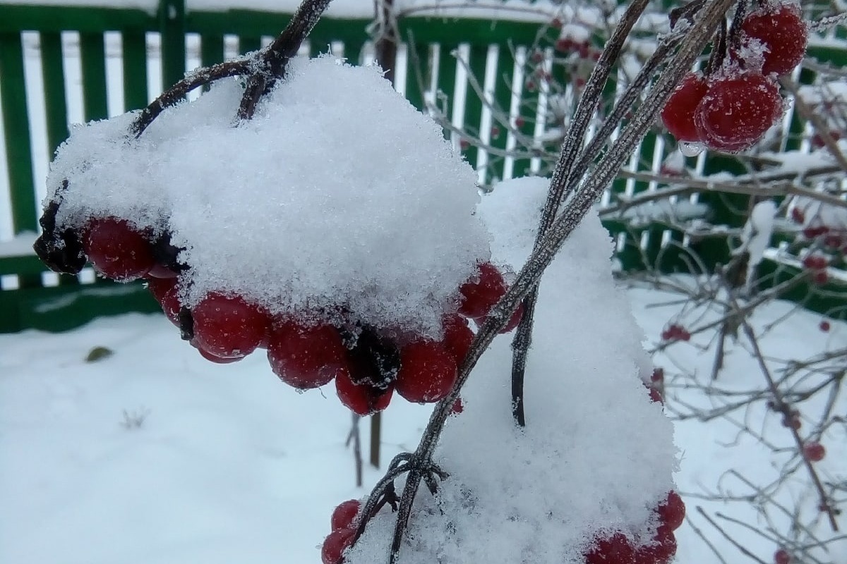 Последние дни зимы в Костроме будут теплыми и солнечными