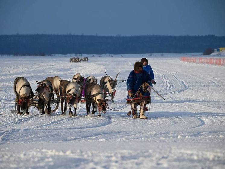 В Надыме дороги перекроют почти на 2 дня из-за соревнований оленеводов