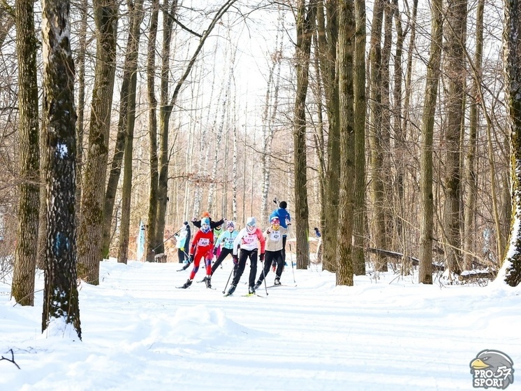 Лыжная гонка на Кубок Фёдора Давыдова состоится в Орловской области