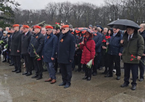 Акция в память погибших советских воинов прошла накануне Дня защитника Отечества в берлинском парке Тиргартен
