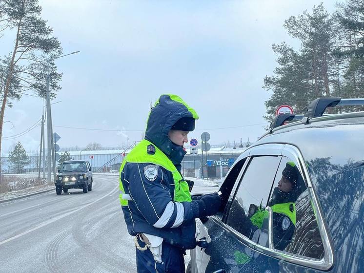 Воронежская Госавтоинспекция в праздничные выходные дни проводит рейд на дорогах