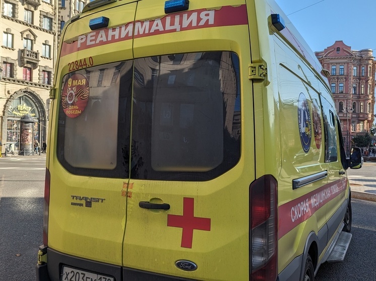 В Петербурге устроили бойню с помощью мачете