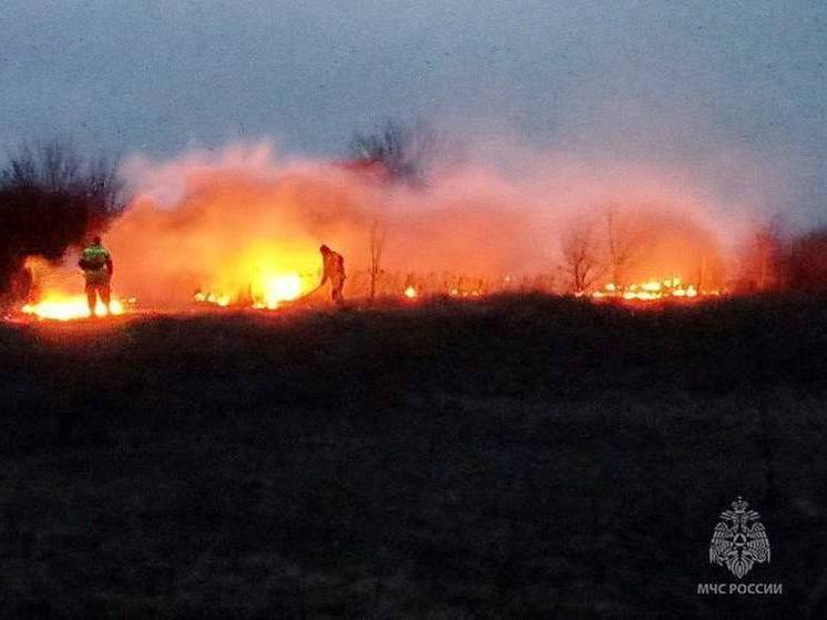 В Енакиево и Снежном сгорели более 5 гектаров сухой травы