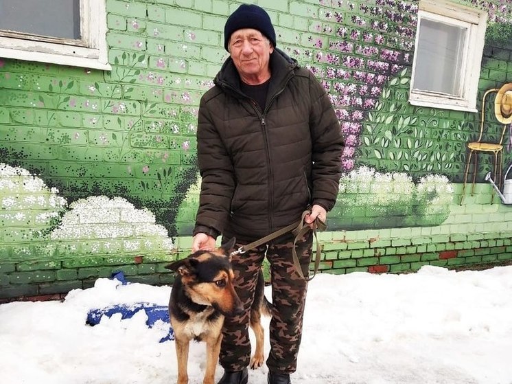 Белгородцы забрали домой 29 бездомных собак с начала года