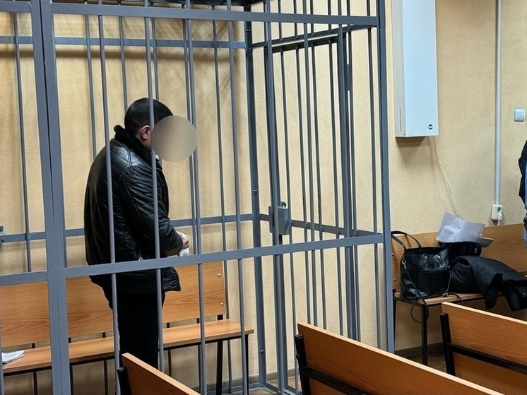 Смоленская прокуратура поддержала ходатайство органа дознания об избрании меры пресечения в виде заключения под стражу