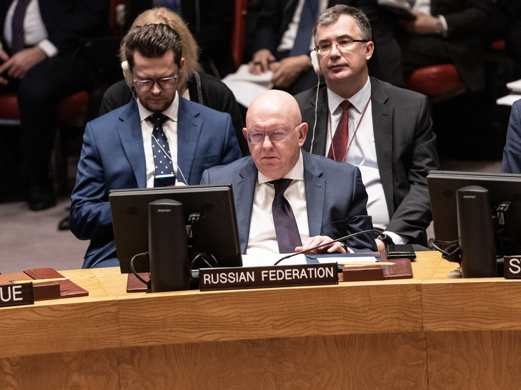 Российский дипломат отказался слушать выступление европейских политиков на заседании  Совбеза ООН