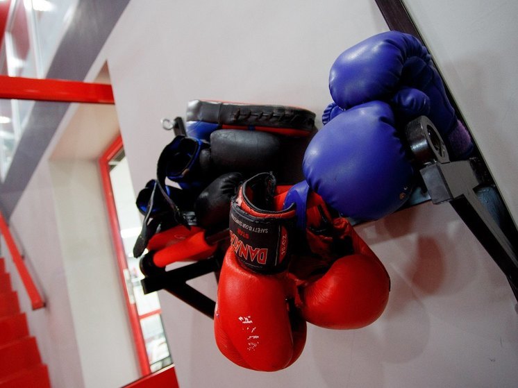 Волгоградцы выйдут на боксерский ринг в поддержку участников СВО