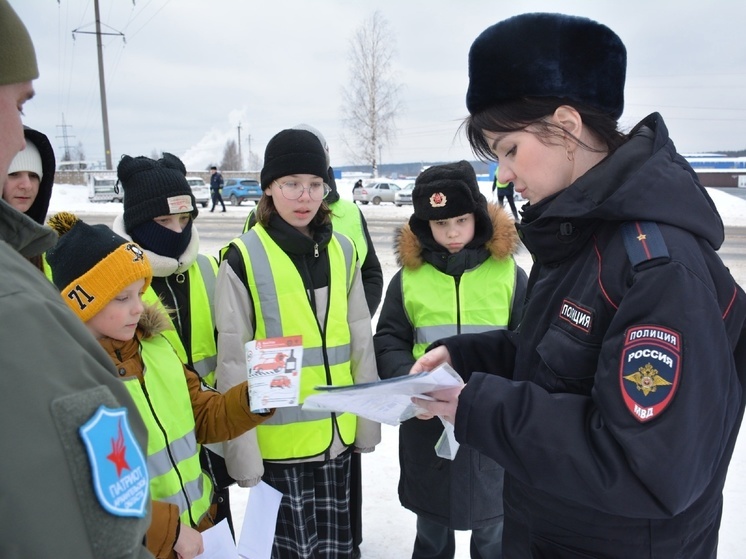 В Устьянах провели акцию «Письмо водителю»