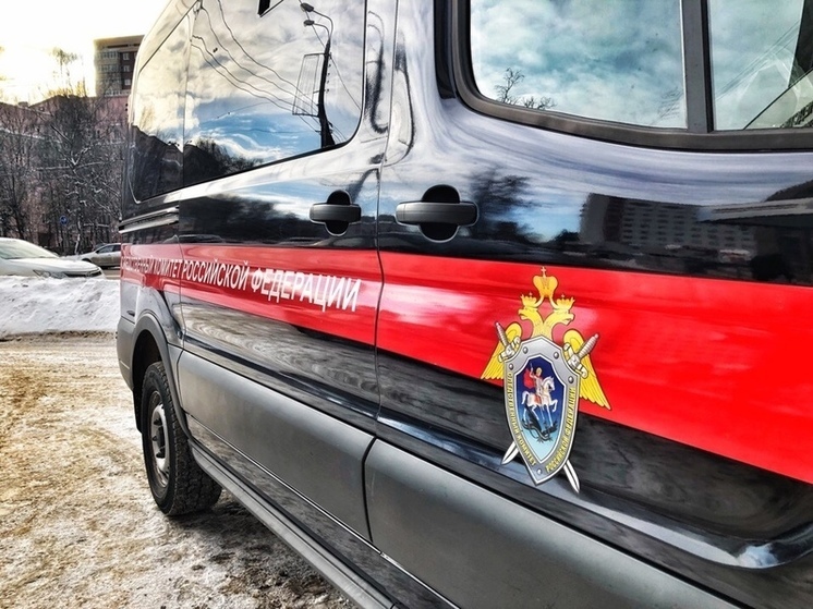 Глава СК РФ поручил разобраться с мигрантом-таксистом, угрожавшим в Твери мужчине
