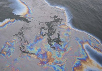 В Красном море растеклась нефть

