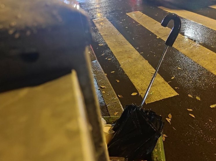 Калининградцам пообещали дождливый и ветреный выходной