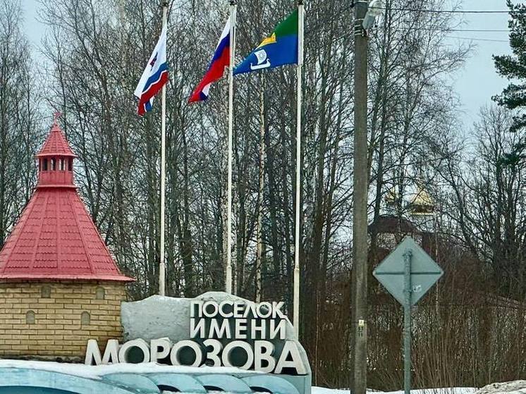 Под Всеволожском прошел чемпионат по рыбной ловле «Блокадная колюшка»