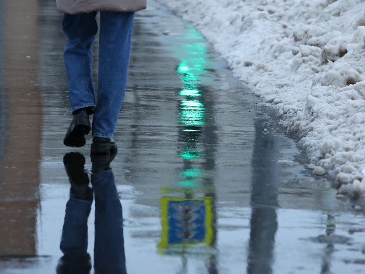 К Подмосковью подбирается аномальное тепло
