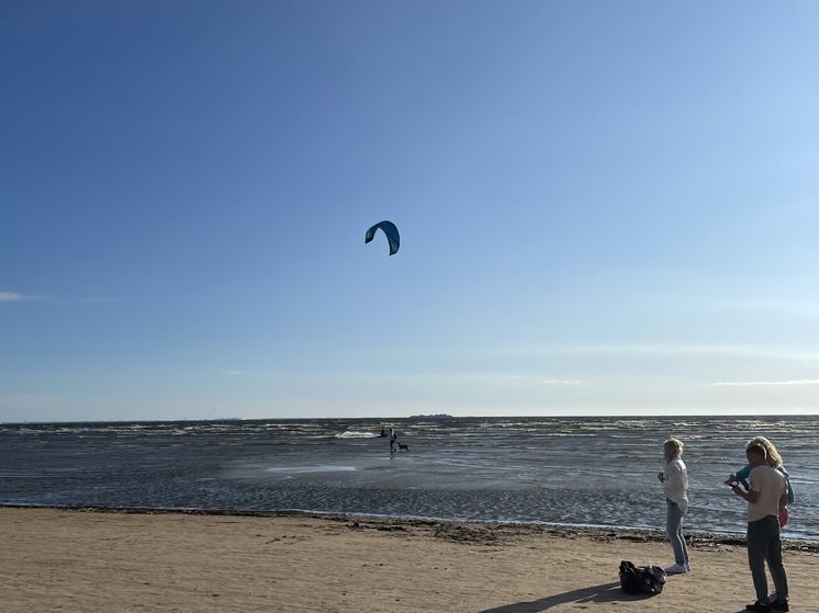 Три пляжа Курортного района Петербурга планируют благоустроить за 2024 год