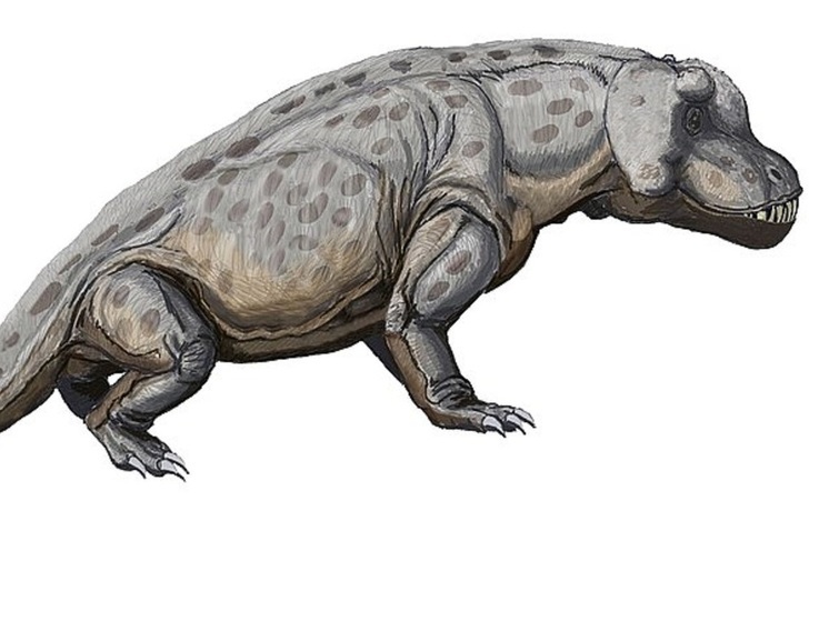 Палеобиолог Данн предложила переименовать десятки "оскорбительно" названых видов динозавров