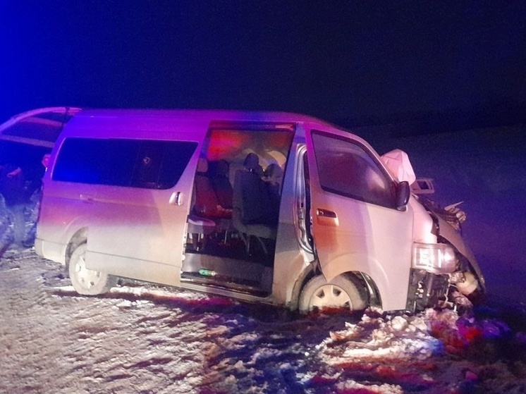 В Тамбовской области два человека погибли при столкновении фуры и микроавтобуса