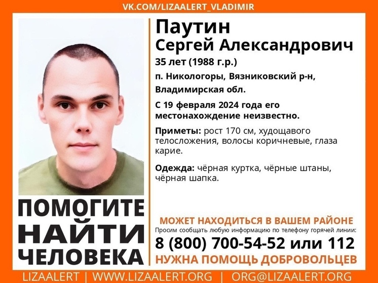 Во Владимирской области ищут 35-летнего мужчину