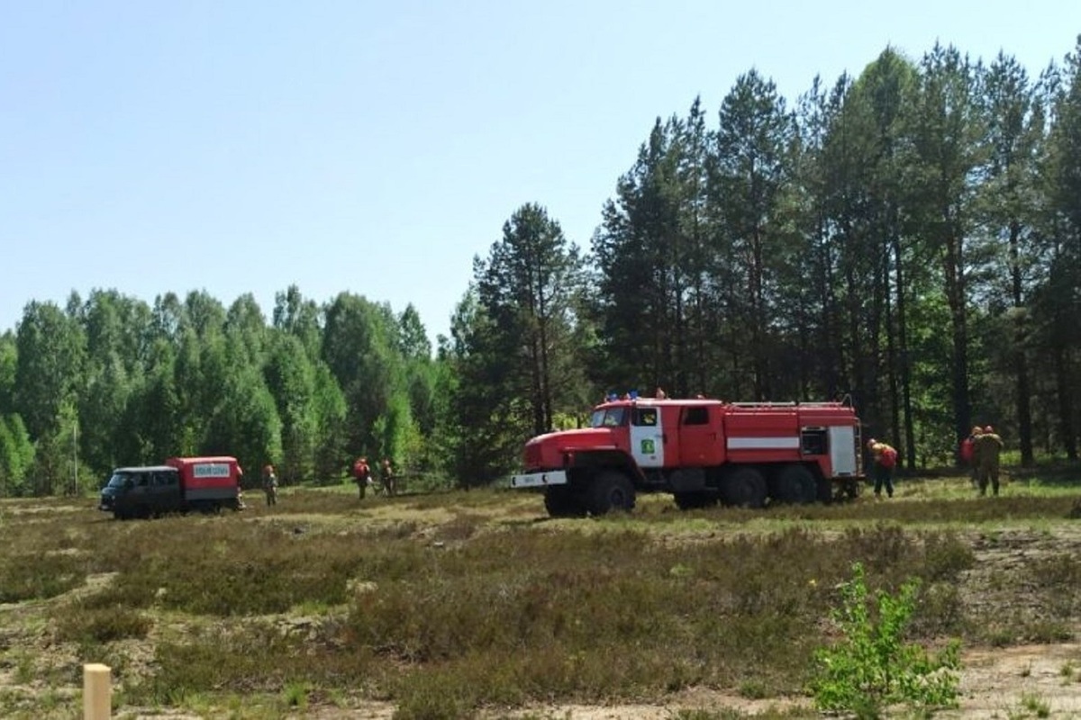 В Костромской области готовятся к пожароопасному сезону