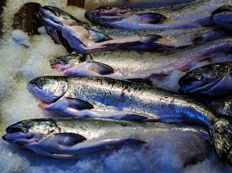 Смолянин осужден за контрабанду 20 тонн хребтов форели