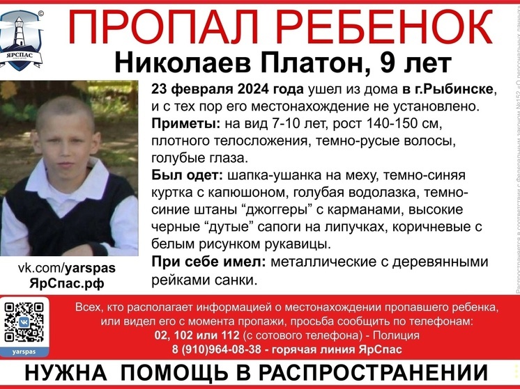 В Ярославской области два дня ищут девятилетнего мальчика