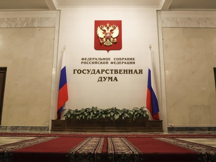 Депутат Бутина не исключила, что условия для работы иноагентов в РФ ужесточат
