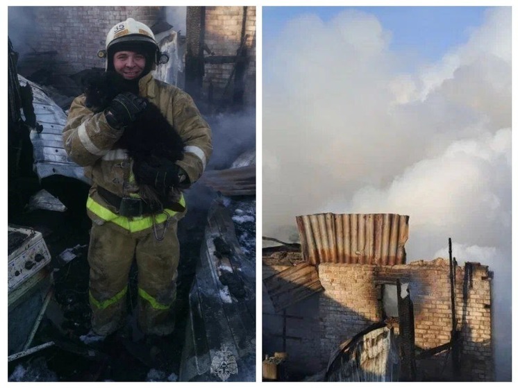 Омские пожарные спасли собаку из завалов сгоревшей хозпостройки