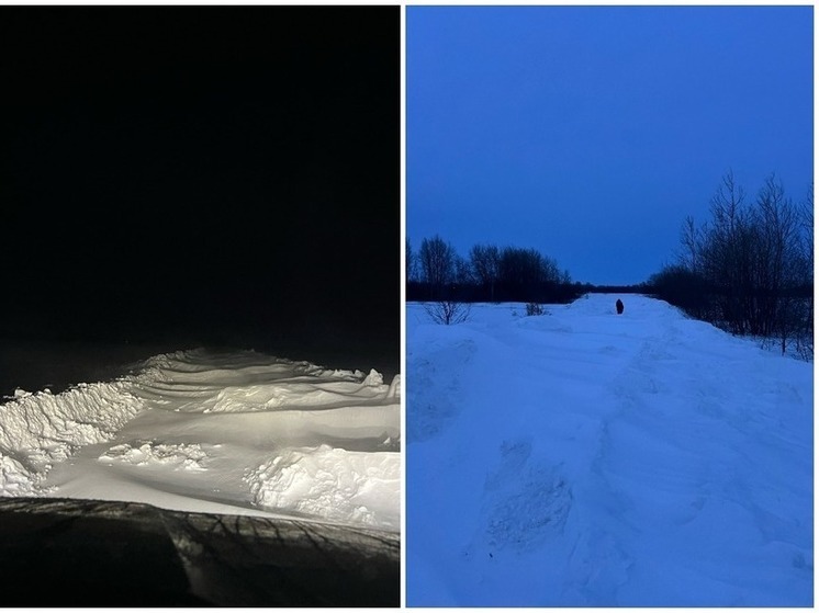 Жители Ухоловского района оказались отрезаны от цивилизации из-за снегопадов