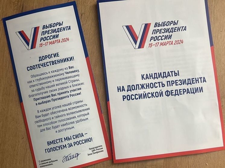 В Новосибирске заметили обходчиков с листовками о выборах Президента