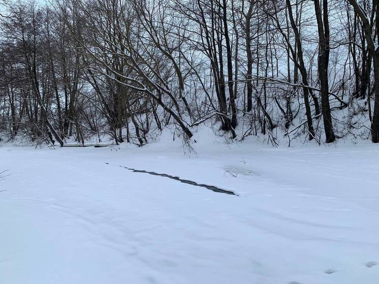 Стало известно, какие районы может затопить в Пензе во время половодья