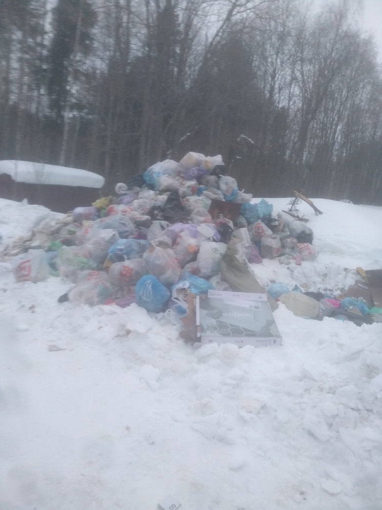 Оттепель мешает добраться мусоровозам до гор отходов в Карелии
