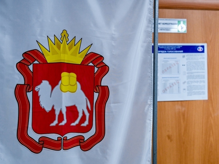  Челябинская область вошла в число лидеров по заявкам на электронное голосование