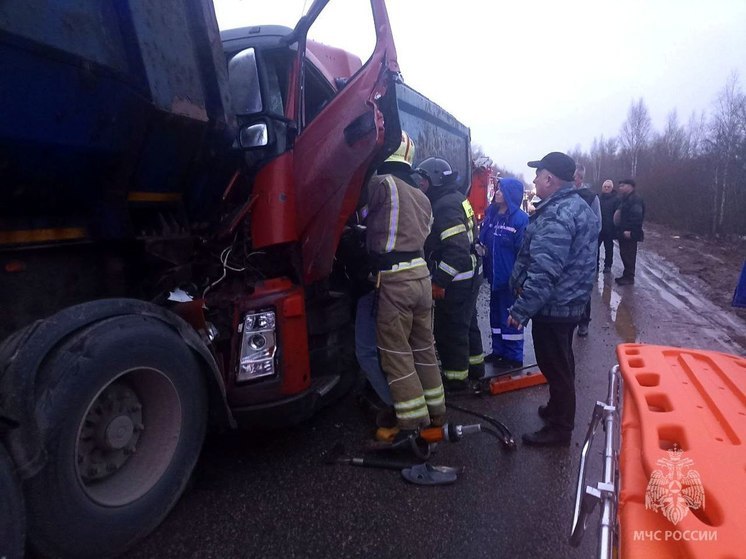 Новгородские спасатели деблокировали участника ДТП в Старорусском районе