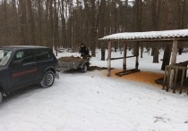 Сотрудники управления Экоохотнадзора Белгородской области пополнили «лесные столовые» региона пятью тысячами тонн силоса - корма для животных