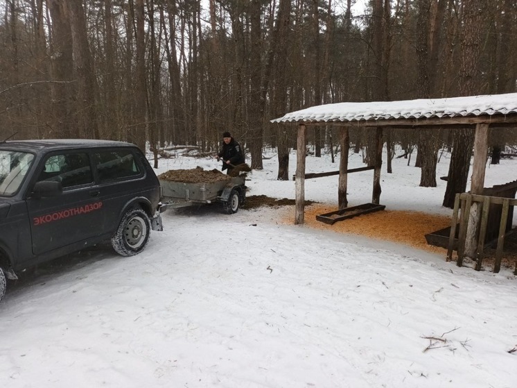 «Лесные столовые» в Белгородской области пополнили 5 тоннами силоса