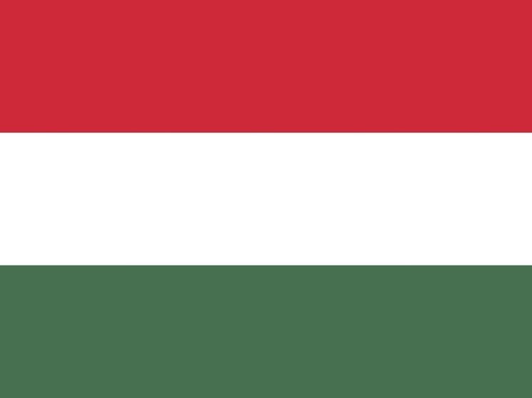 В Будапеште митинг: оппозиция требует прямых выборов президента