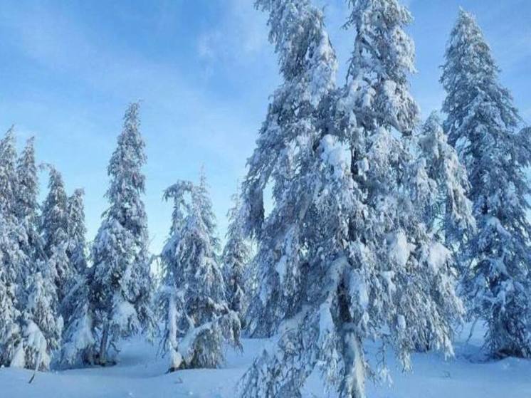 В понедельник в континентальной части региона ожидается мороз до -40