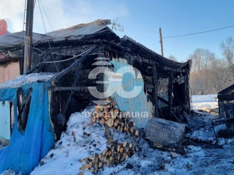 В Южно-Сахалинске при пожаре в частном доме погибли кошки и собака