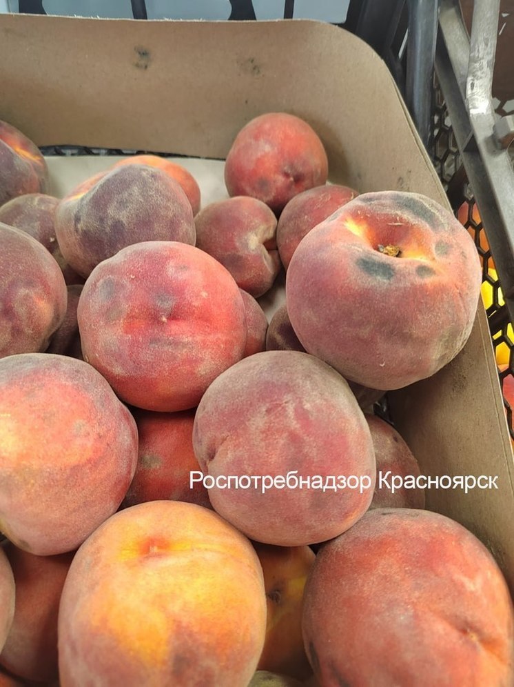 Красноярскую «Пятерочку» оштрафовали на 300 тысяч за гнилые продукты