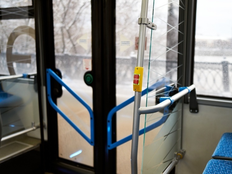 В Кемерово водитель автобуса высадил ребенка в мороз из-за отсутствия справки со школы