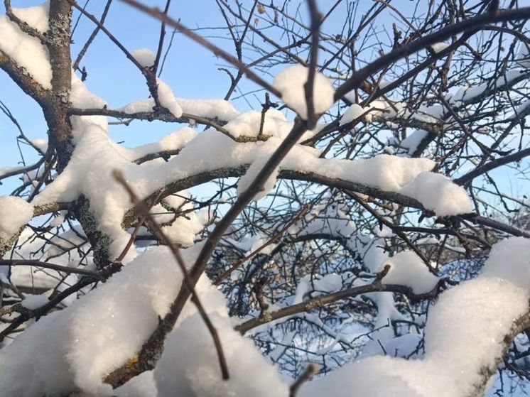 Последние дни февраля будут по-мартовски теплыми