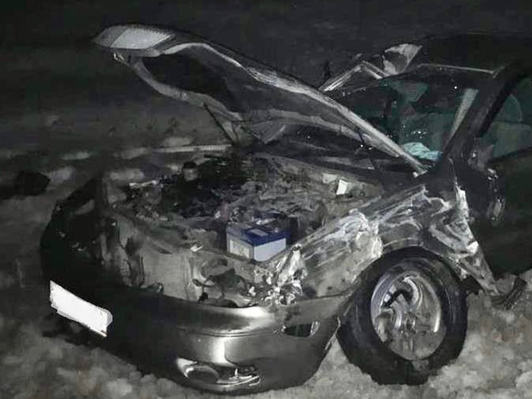 Четыре человека пострадали в ДТП на трассе М-10 в Чудовском районе