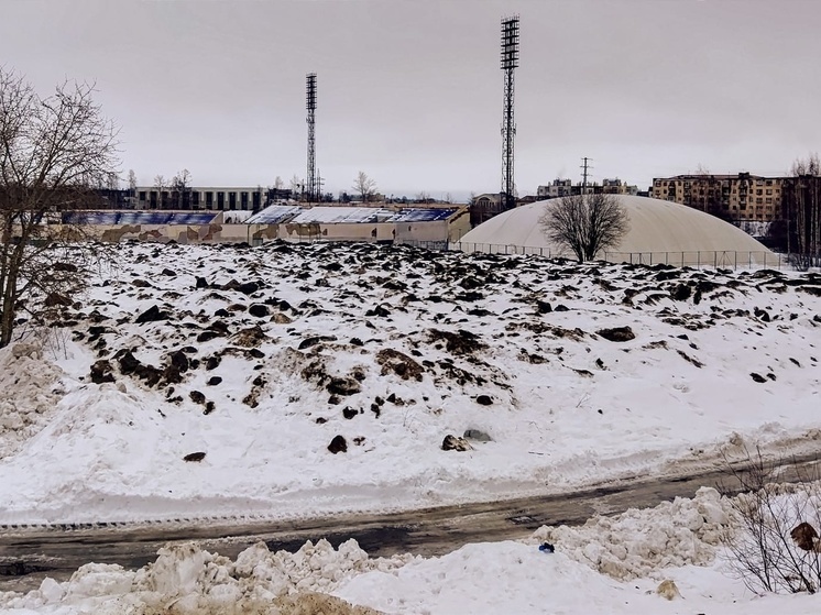 Минприроды потребовало от мэрии Петрозаводска убрать грязный снег от стадиона