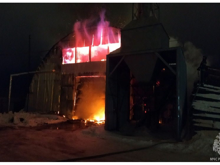 Пожар уничтожил целый цех на предприятии деревообработки в Соколе