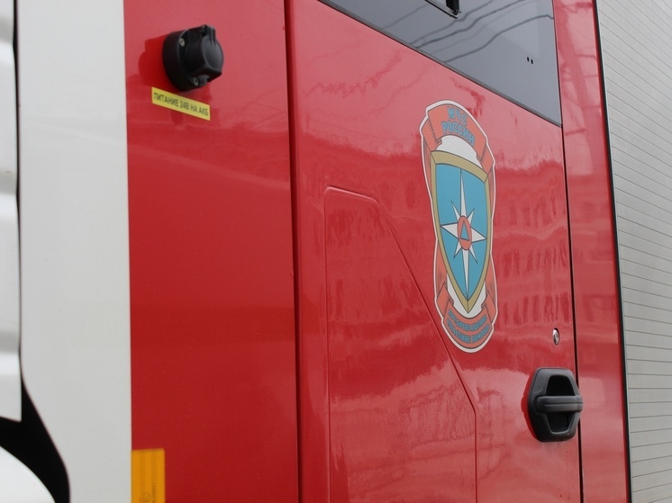 Двое мужчин погибли на пожаре в Кирилловском округе