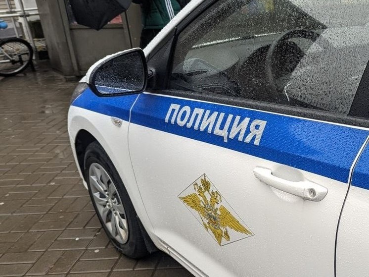 Новгородских водителей до 29 февраля будут останавливать для проверки тонировки